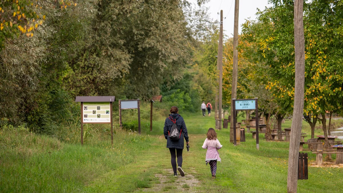 Pomen družinske povezanosti za zdravje